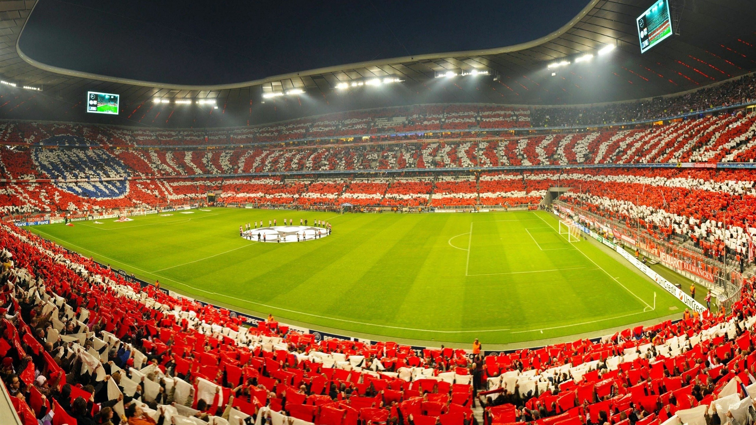 公牛队迎来关键胜利，冲刺季后赛，公牛队比赛